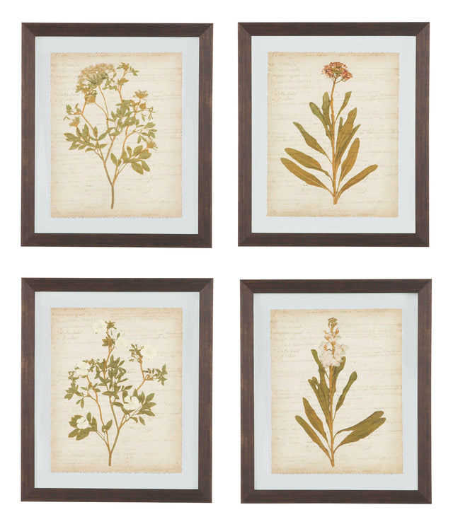 Ashley Dyani Wall Art Set (4/CN) - Multi