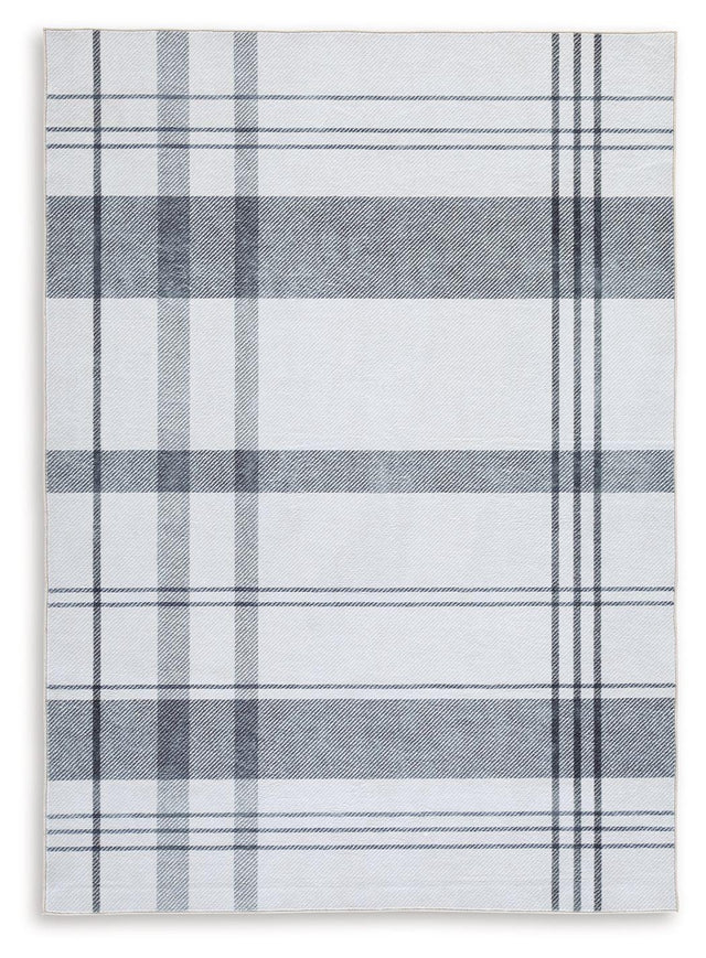 Ashley Kaidlow Medium Rug - Gray/Cream